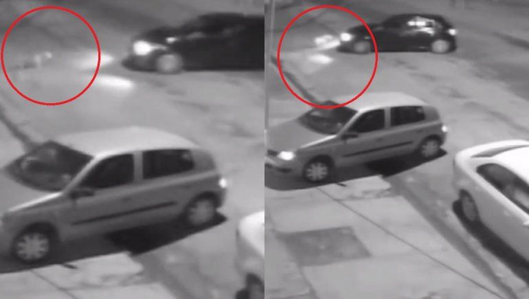 Atropelló a una perrita, la abandonó y quedó todo grabado