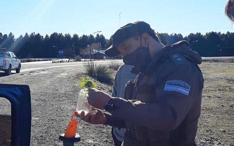 Operativo antidrogas secuestró marihuana en Ruta 40