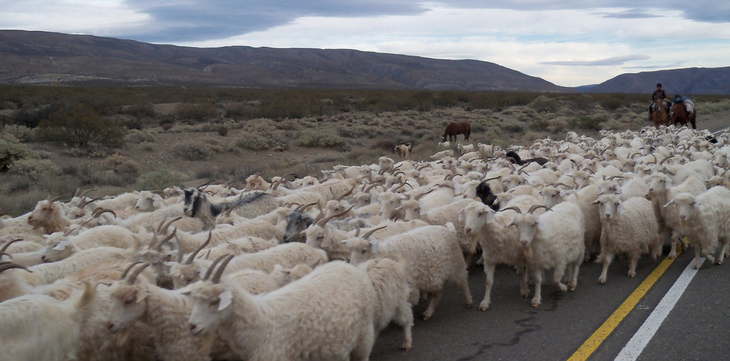 La periodicidad del movimiento está regulada tan sólo por el ritmo de las estaciones. Foto: secretaría de Producción. La periodicidad del movimiento está regulada tan sólo por el ritmo de las estaciones. Foto: secretaría de Producción.