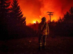 patagonia: 37.000 las hectareas afectadas por los incendios patagonia: 37.000 las hectareas afectadas por los incendios