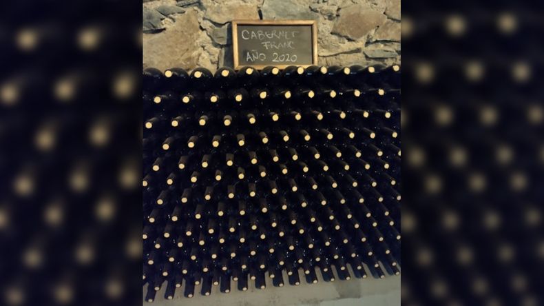 ¿Por qué nos gusta tanto el Cabernet Franc? | LM Neuquen ¿Por qué nos gusta tanto el Cabernet Franc?