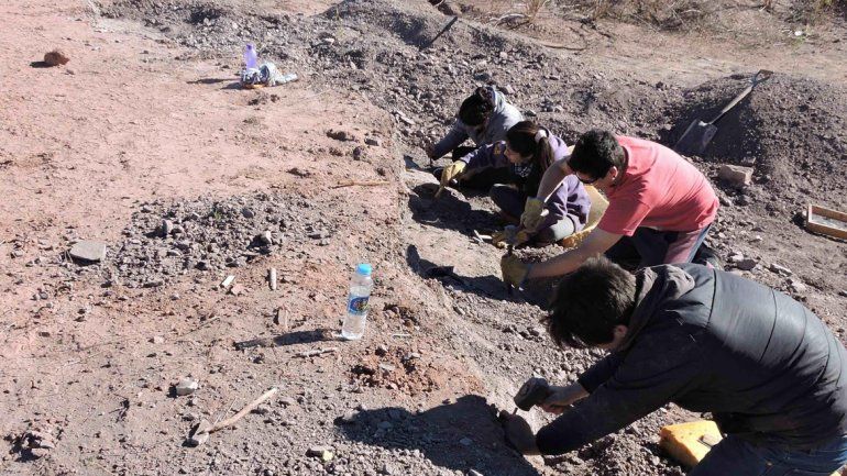 Los paleontólogos trabajan sobre el terreno para rescatar los restos.