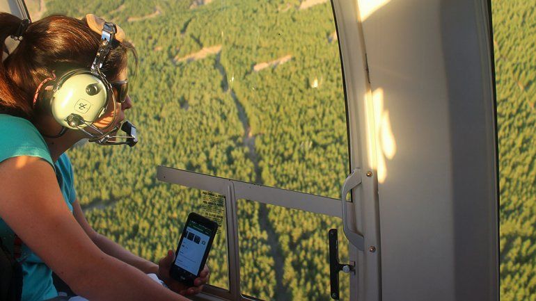 Realizan un control aéreo para medir el avance del sirex