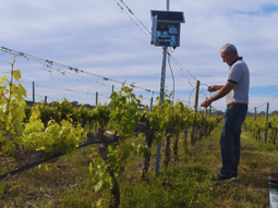 En la cuenca media del río Colorado, el agua disponible es limitada. Foto: INTA En la cuenca media del río Colorado, el agua disponible es limitada. Foto: INTA