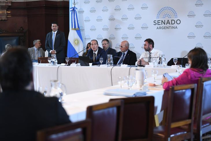 El subsecretario de Hidrocarburos presentó la propuesta del Ejecutivo para la nueva Ley de Biocombustibles. El subsecretario de Hidrocarburos presentó la propuesta del Ejecutivo para la nueva Ley de Biocombustibles.