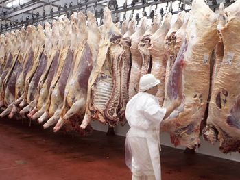 La cuota de 6.050 toneladas de carne vacuna enfriada destinada al mercado europeo ya habría sido cubierta. Los nuevos certificados deberán esperar la liberación de volumen no utilizado. La cuota de 6.050 toneladas de carne vacuna enfriada destinada al mercado europeo ya habría sido cubierta. Los nuevos certificados deberán esperar la liberación de volumen no utilizado.