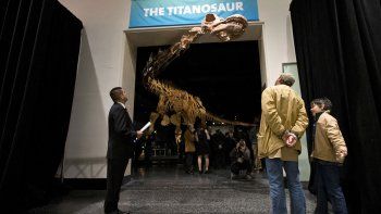 Los restos fueron encontrados en Neuquén, Chubut, Río Negro y San Juan. Los restos fueron encontrados en Neuquén, Chubut, Río Negro y San Juan.