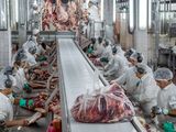 Las exportaciones de carne con la mira puesta ahora en el conflicto de Medio Oriente.