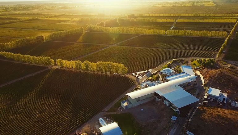 La Ruta de las Bodegas, una buena opción para el fin de semana largo.