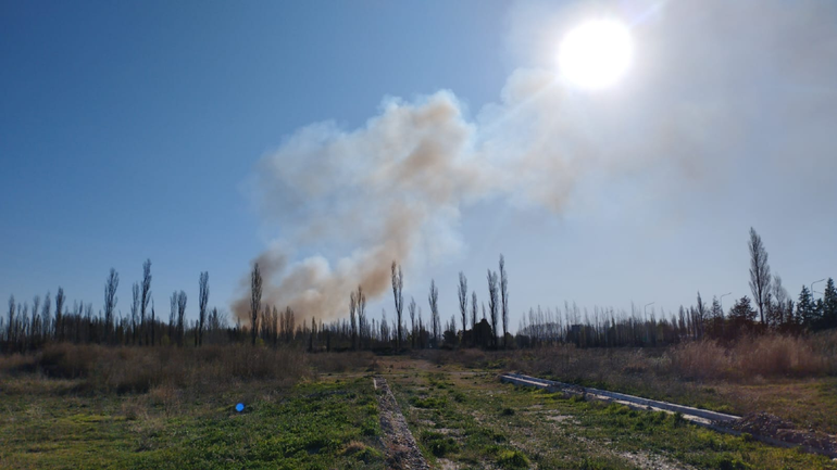Voraz incendio afectó varias hectáreas entre Plottier y Senillosa