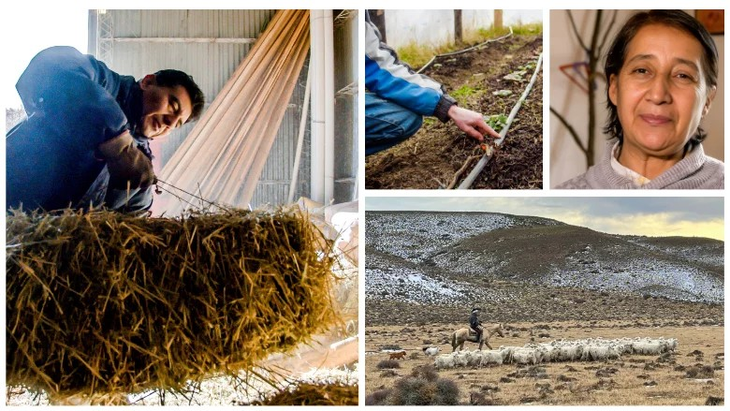Las explotaciones familiares son menos resilientes a los riesgos del cambio climático y al contexto macroeconómico. Foto: Banco Mundial. Las explotaciones familiares son menos resilientes a los riesgos del cambio climático y al contexto macroeconómico. Foto: Banco Mundial.
