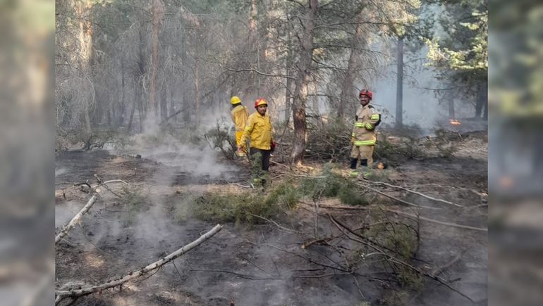 Dos incendios afectaron hectáreas en el Cerro Los Pinos