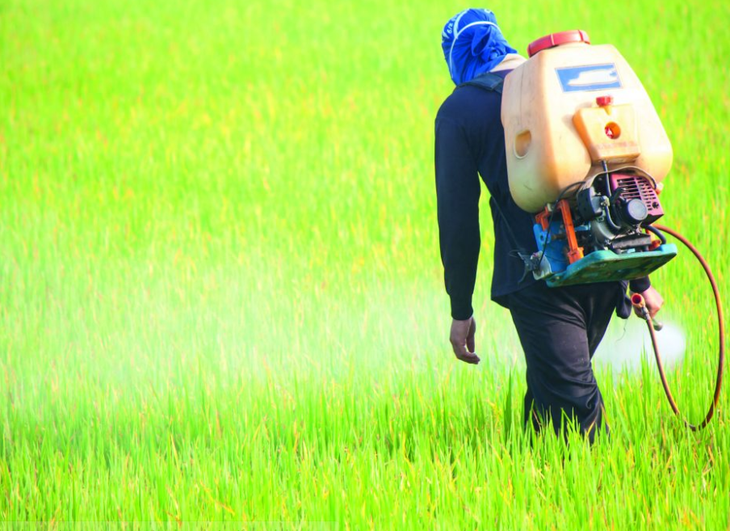 Cultivos de exportaci&oacute;n como la soja y el ma&iacute;z concentran la mayor carga de qu&iacute;micos peligrosos.