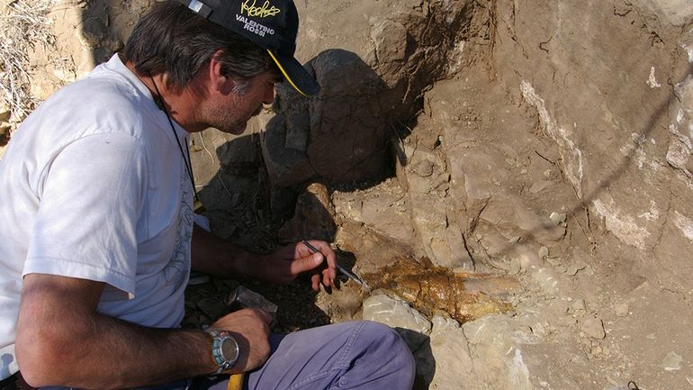 El paleontólogo Rodolfo Coria, en el trabajo de campo. El paleontólogo Rodolfo Coria, en el trabajo de campo.