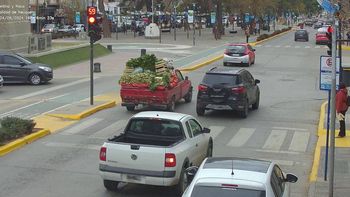 cinco preguntas claves sobre las fotomultas: ¿me multan si agarro el celular en el semaforo? cinco preguntas claves sobre las fotomultas: ¿me multan si agarro el celular en el semaforo?