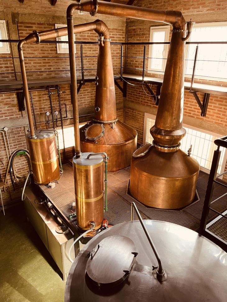 "Este año vamos a cumplir ocho años desde que hicimos la primera tanda", cuenta Tognetti. Foto: gentileza. "Este año vamos a cumplir ocho años desde que hicimos la primera tanda", cuenta Tognetti. Foto: gentileza.