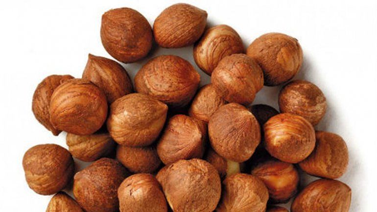 Río Negro es la principal productora de avellanas de Argentina