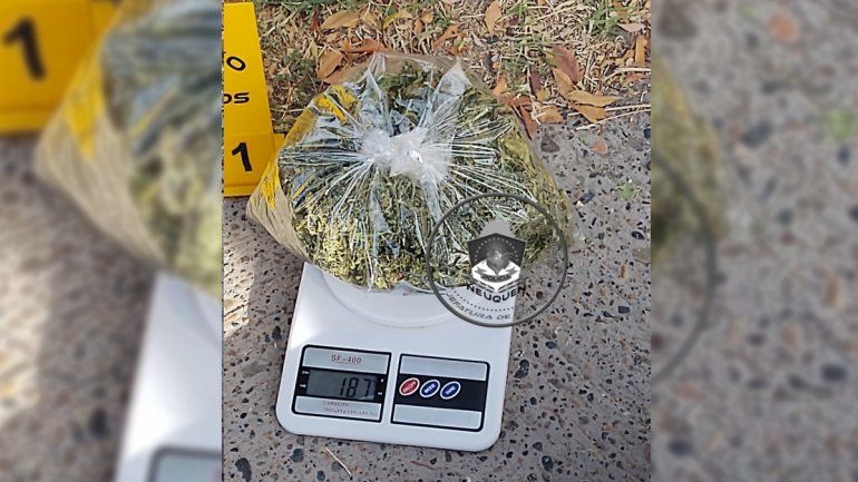 Violó la cuarentena con casi 200 gramos de marihuana y lo atraparon en un colectivo