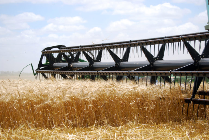 La suba de precios también debe contemplar la de logística e impuestos. Foto INTA La suba de precios también debe contemplar la de logística e impuestos. Foto INTA