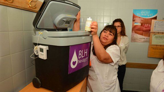 Ya son 400 las mamás neuquinas que donan su leche