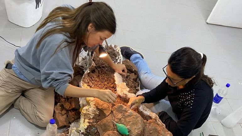 Las paleontólogas de la UNCo frente al hallazgo de los 11 huevos de saurópodos.