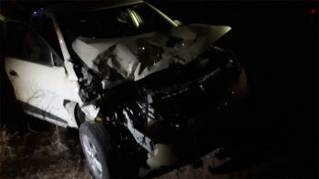 un animal suelto provoco un accidente en la ruta 22 un animal suelto provoco un accidente en la ruta 22