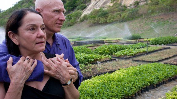 Una pareja plantó árboles y el bosque volvió a asomar
