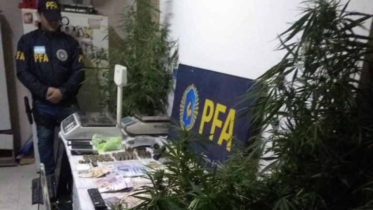 Hallaron droga, plata y elementos de fraccionamiento en el kiosco narco de Centenario