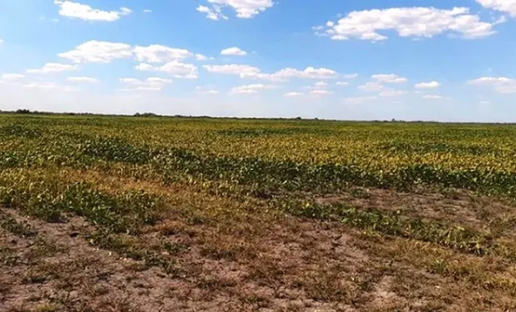 Las perspectivas de temperaturas y precipitaciones fueron temas centrales de análisis. Las perspectivas de temperaturas y precipitaciones fueron temas centrales de análisis.