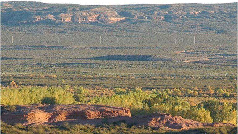 Conflicto mapuche: ¿Qué hizo la policía en el campo tomado de Tratayén?