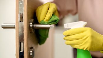 Esta fruta ofrece múltiples propiedades que la convierten en un excelente aliado para la limpieza doméstica. Esta fruta ofrece múltiples propiedades que la convierten en un excelente aliado para la limpieza doméstica.