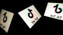 Podés aprender nuevos idiomas fácilmente con TikTok.