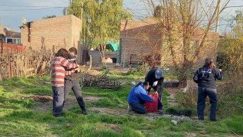 allanaron la casa de la mujer que dejo morir de hambre a su perro allanaron la casa de la mujer que dejo morir de hambre a su perro