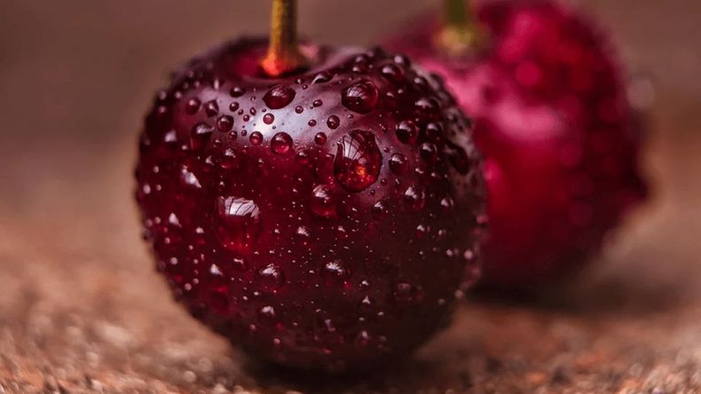 Con costos estables y retornos más bajos, la cereza chilena enfrenta su segundo año consecutivo de resultados negativos. | LM Neuquen Con costos estables y retornos más bajos, la cereza chilena enfrenta su segundo año consecutivo de resultados negativos.