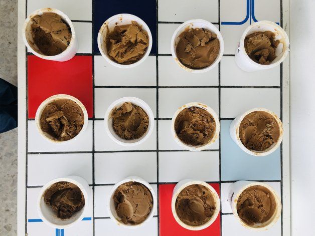 Los 5 mejores helados de dulce de leche de Neuquén a ciegas