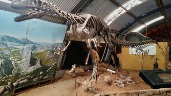 Proyecto Dino megaraptor2.JPG