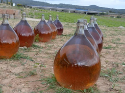 Hay productores de vino que pelean por borrar las frutas de sus vinos. Hay productores de vino que pelean por borrar las frutas de sus vinos.