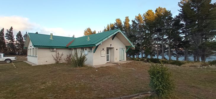 En el laboratorio de experimentación ‘grupo de ecología de poblaciones de insectos’ trabajan alrededor de 14 personas. Foto: gentileza José Villacide. En el laboratorio de experimentación ‘grupo de ecología de poblaciones de insectos’ trabajan alrededor de 14 personas. Foto: gentileza José Villacide.