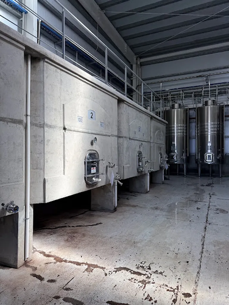 En vinos blancos, a diferencia de la 2024, es esperable vinos de mucha energía y precisión frutal en aromas. En vinos blancos, a diferencia de la 2024, es esperable vinos de mucha energía y precisión frutal en aromas.