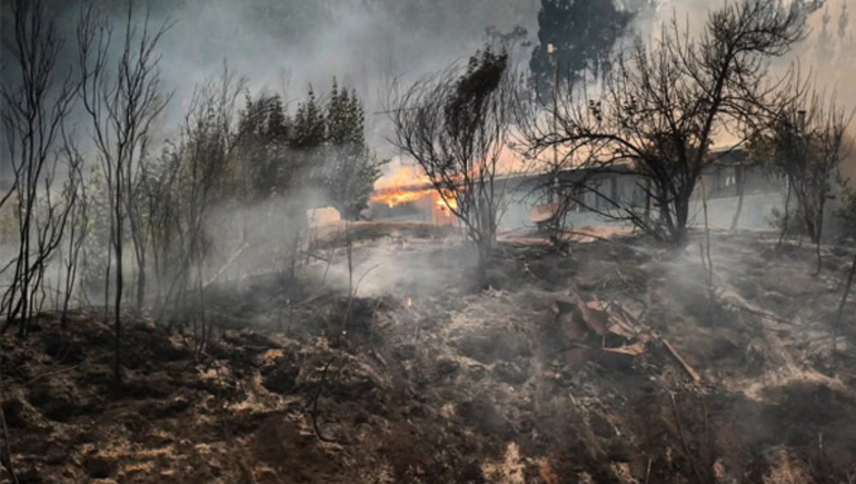 Los incendios en Chile ya arrasaron con más de 50.000 hectáreas.