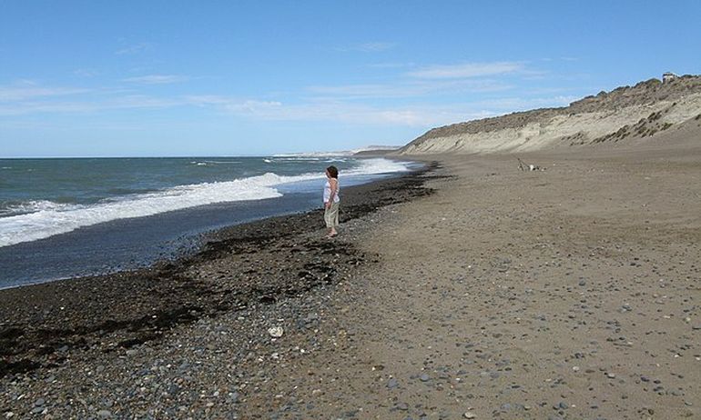 Sumo fue asesinado en una de las playas de la zona de Playa Unión, en Rawson. Sumo fue asesinado en una de las playas de la zona de Playa Unión, en Rawson.