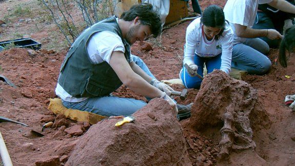Presentaron una nueva especie de dinosaurio hallado en Añelo