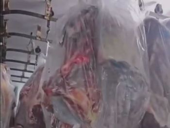 Comenzó a llegar la carne con hueso del norte de la berrera. ¿Cumple con los requisiitos de la resolución del SENASA?
