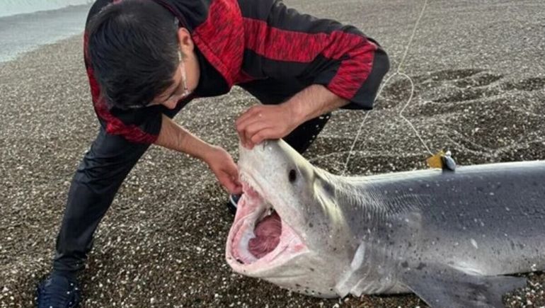 Axel Soto pescó un tiburón gatopardo en el Golfo San Jorge