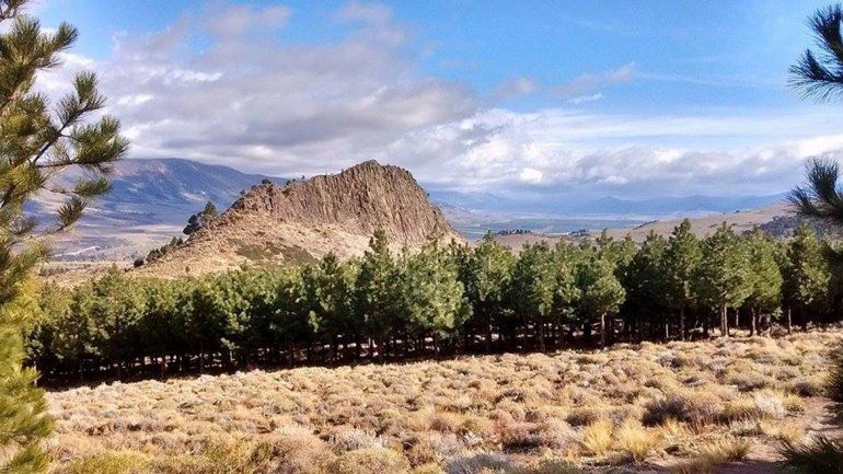 Para alambrados, otorgan subsidio a comunidad Atreuco