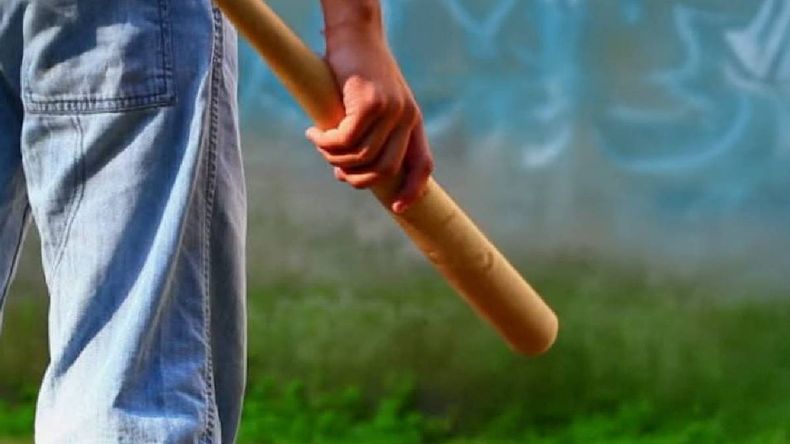 El fallo judicial determinó que el camionero lesionó al conductor del auto, dándole un garrotazo en el brazo. | LM Neuquen El fallo judicial determinó que el camionero lesionó al conductor del auto, dándole un garrotazo en el brazo.