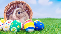 ¿Cuándo se hace la búsqueda de los huevos de Pascua?