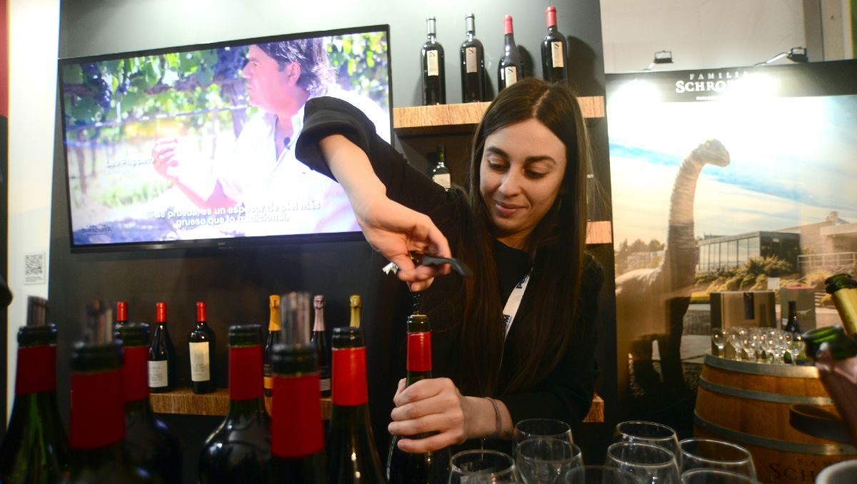 Los vinos de Bodega Familia Schroeder