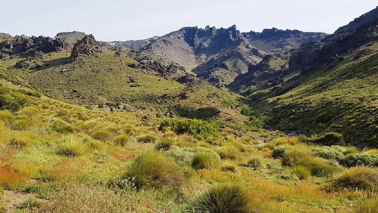 Una postal del paraje Pino Solo. Una postal del paraje Pino Solo.