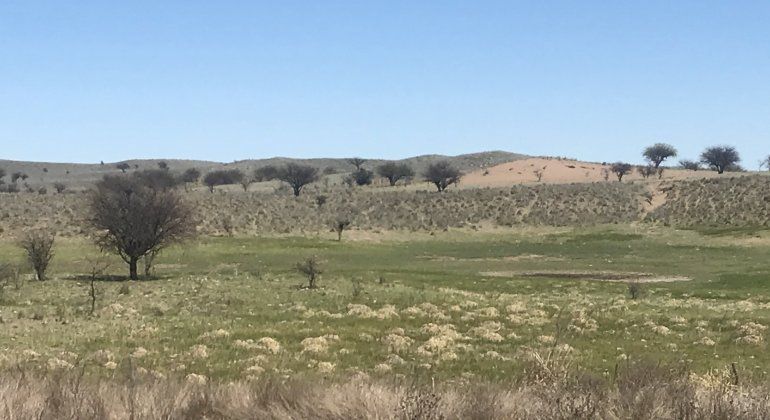 Cómo era la ciudad de Neuquén 85 millones de años atrás